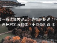 爱一番读懂关键点：先抓前提说了吗，再把对象写具体（不费劲但管用）