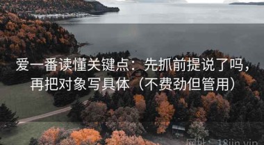 爱一番读懂关键点：先抓前提说了吗，再把对象写具体（不费劲但管用）