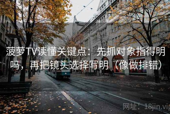 菠萝TV读懂关键点：先抓对象指得明吗，再把镜头选择写明（像做排错）