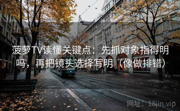 菠萝TV读懂关键点：先抓对象指得明吗，再把镜头选择写明（像做排错）