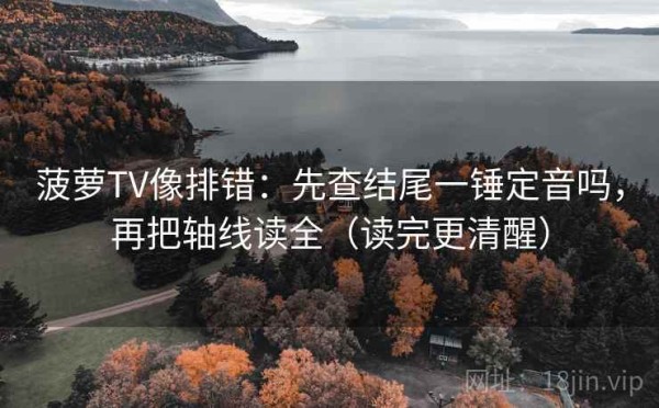 菠萝TV像排错：先查结尾一锤定音吗，再把轴线读全（读完更清醒）